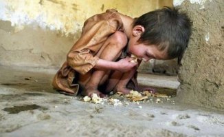 Причуды богатых людей от социолога Лорен Гринфилд