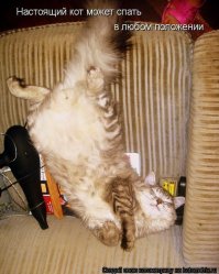 Приколы парочек