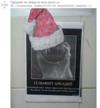 Забавные надписи и объявления