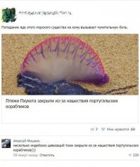 Смешные комментарии из соцсетей