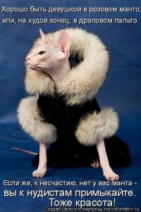 Интеллектуальные приколы