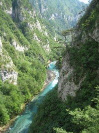 Согласен Черногория впечатлила, еще раз убедился в необходимости арендовать авто на весь отпуск.
Вот наша парочка фотографий