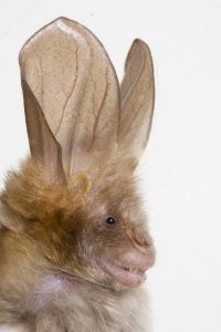 Дети долго смеялись над  этим