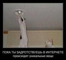 Мы кричали, но люди разбегались, как тараканы