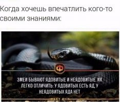 Смешные комментарии и высказывания из социальных сетей