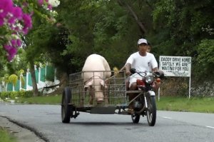 VOS SIDECARS