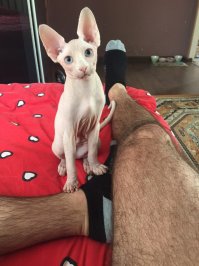 Мой маленький ублюдочек.