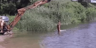 Слабоумие и отвага. =)