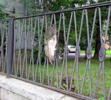 Неповторимые кадры с родных просторов