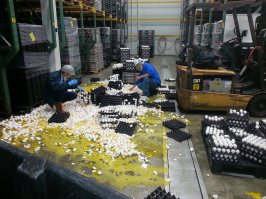 Неприятности, которые случаются в повседневной жизни 