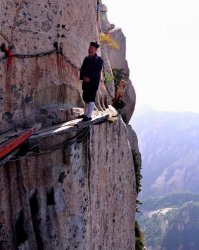 Куда же гости запропастились?