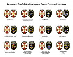 Это военная полиция. Например в Сирии они сейчас следят за порядком. Этакие "миротворцы". Больше настораживает новая нацгвардия (задача внутренних войск - конфликты внутри страны, т.е. с гражданским населением). Мало того, что к ним теперь относятся СОБР и ОМОН, мало того, что им предоставлено право применять оружие без предупреждения, так у них и мотострелковые части, и морчасти, и авиация...