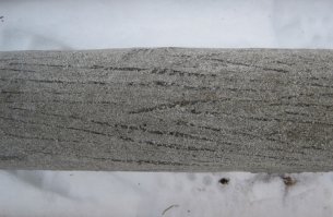 Немного подкорректирую - не "вечная мерзлота", а правильно говорить "многолетне-мерзлые грунты" или сокращенно ММГ (как известно ничего вечного нет). Грунт не промерзает на 160 см, а он реликтово мерзлый на глубины до 300 и более метров, а вот в летний период лишь оттаивает на глубину 1,5-2,5 метров (так называемый деятельный слой - сезонно-талые грунты). Температуры зимой могут достигать и -60 (и даже ниже если с ветром), но деревьев нет не поэтому, а потому что в мерзлых грунтах они просто не растут, а лишь угнетенный древостой по берегам крупных рек (где развиты талые грунты (гидрогенные талики - колоссальные объемы воды создают в прилегающих грунтах положительный градиент температур). К слову скандинавские тундры не мерзлые, а вот от ямало-ненецкого округа и далее на восток - зоны распространения мерзлых грунтов. Кстати температуры их в среднем минус 2 - минус 5 градусов.
Немного фото керна мерзлых грунтов с включениями (шлирами) льда: