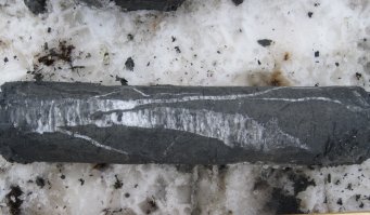 Немного подкорректирую - не "вечная мерзлота", а правильно говорить "многолетне-мерзлые грунты" или сокращенно ММГ (как известно ничего вечного нет). Грунт не промерзает на 160 см, а он реликтово мерзлый на глубины до 300 и более метров, а вот в летний период лишь оттаивает на глубину 1,5-2,5 метров (так называемый деятельный слой - сезонно-талые грунты). Температуры зимой могут достигать и -60 (и даже ниже если с ветром), но деревьев нет не поэтому, а потому что в мерзлых грунтах они просто не растут, а лишь угнетенный древостой по берегам крупных рек (где развиты талые грунты (гидрогенные талики - колоссальные объемы воды создают в прилегающих грунтах положительный градиент температур). К слову скандинавские тундры не мерзлые, а вот от ямало-ненецкого округа и далее на восток - зоны распространения мерзлых грунтов. Кстати температуры их в среднем минус 2 - минус 5 градусов.
Немного фото керна мерзлых грунтов с включениями (шлирами) льда: