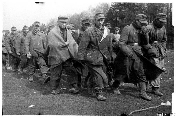 Фотографии: "Немцы сдаются в плен  апрель-май 1945"