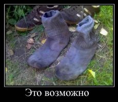 Запахи, говорите...