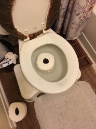 Не всосал, а кто и зачем так сидушку обосрал у толкана?