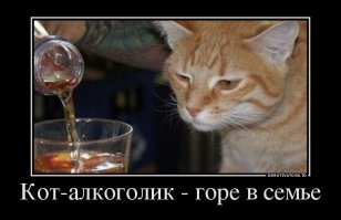И еще немного о пьющих животных: