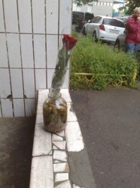 Это как раз логично, цветы надо ставить в подсоленную воду