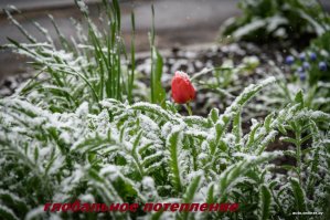 Сегодня утром в Минске.