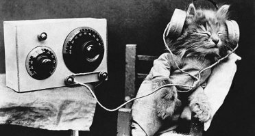 прям уважаю.. Чесн слово.  
Аудиофилия - зло. И это правда.
Тратить 10ки тысяч долларов на железо??? Тогда как  за эти деньги можно спокойно если не всю  жизнь,   то пол   жизни точно посещать разные  концерты  и слушать  туже оперу...  В мире и в наше время  в  живую  многие поют очень  хорошо и это  сейчас, когда можно спокойно по миру передвигаться )). А здесь почитаешь, посмотришь на суммы, одно слово  - болезнь  и понты.

Имея столько денег - вбухивать их в железки игнорируя живой звук как минимум  глупо... Исключение  только те, у  кого реально денег "много" (пусть балуются на здоровье)