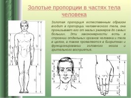 Красота она не субъективна, а вполне так на 100% объективна!!