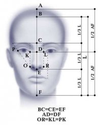 Красота она не субъективна, а вполне так на 100% объективна!!