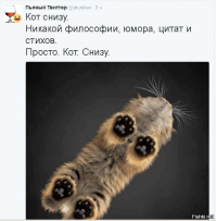 Немного прикольных картинок