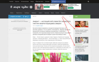 Что за хрень подумал я, и перешёл на сайт-источника этой статьи.
Увиденное подтвердило моё предположение