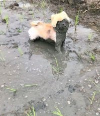 Фотоподборка за 11.05.2017