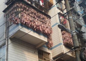 Леди Гага постирала своё знаменитое платье :)