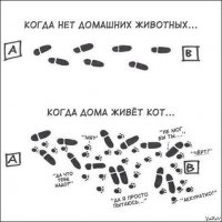 Вот сразу видно, что у автора картинки в реале нет кота!
Иначе реплики звучали бы так: "&$^$%#$#&*? гад!", "Куда *($&$%#%^$*@", "Да чтоб &#$^$#*$ и хрен тебе, а не вискас". Ну и так далее