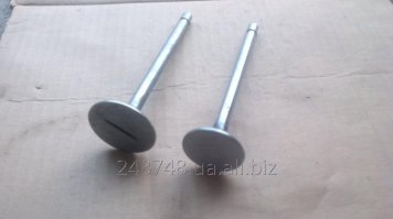 За свою трудовую жизнь я изготовил много ножей . Очень много , поверьте на слово . И для себя уяснил : лучшая сталь для кухонных ножей - это раскованный клапан трактора Т-150 . Но только впускной . Моим ножам по 8-10 лет , и они не только живы , а ещё вполне и вполне рабочие .