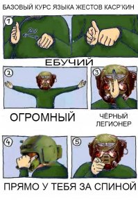 Секреты бортпроводников: какие тайные знаки они подают друг другу