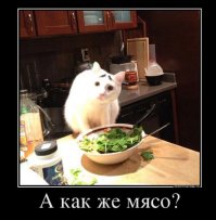 4 быстрых и легких фитнес-салатов для похудения