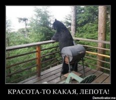 Туманные пейзажи России и ближнего зарубежья