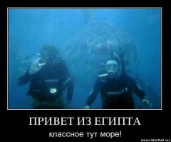 50 фотографий, сделанных за секунду до неизбежного