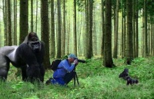50 фотографий, сделанных за секунду до неизбежного