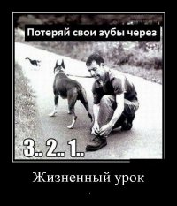 50 фотографий, сделанных за секунду до неизбежного