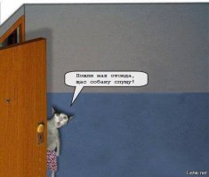 просто продавщице(матёрая, видать была) не хотелось неприятностей. Она чесно сделала свою работу, а история пахнет лампой