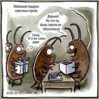 Очередное чудо природы, жук навозник