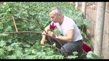 Это не тот))) А вот этот)))