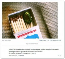 Бронзовка. Майский жук который вовсе не майский