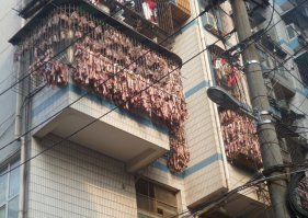 Двор, в котором обнаружены летающие коты, а вот и причина столь странной мутации))))