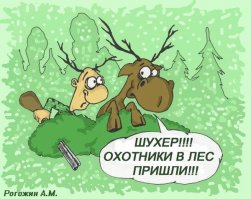 Поохотился, понимаешь, на индеек