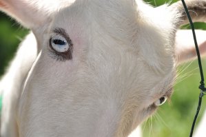 Немного прикольных картинок