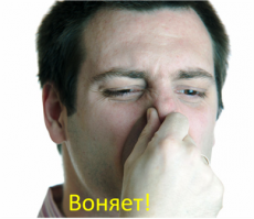 Мнение пассажира о курице: