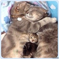 Немного прикольных картинок