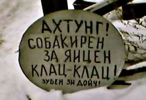 Питбуль помог поймать и обезвредить преступника