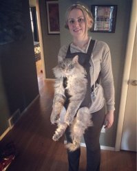 Где взять такую переноску?